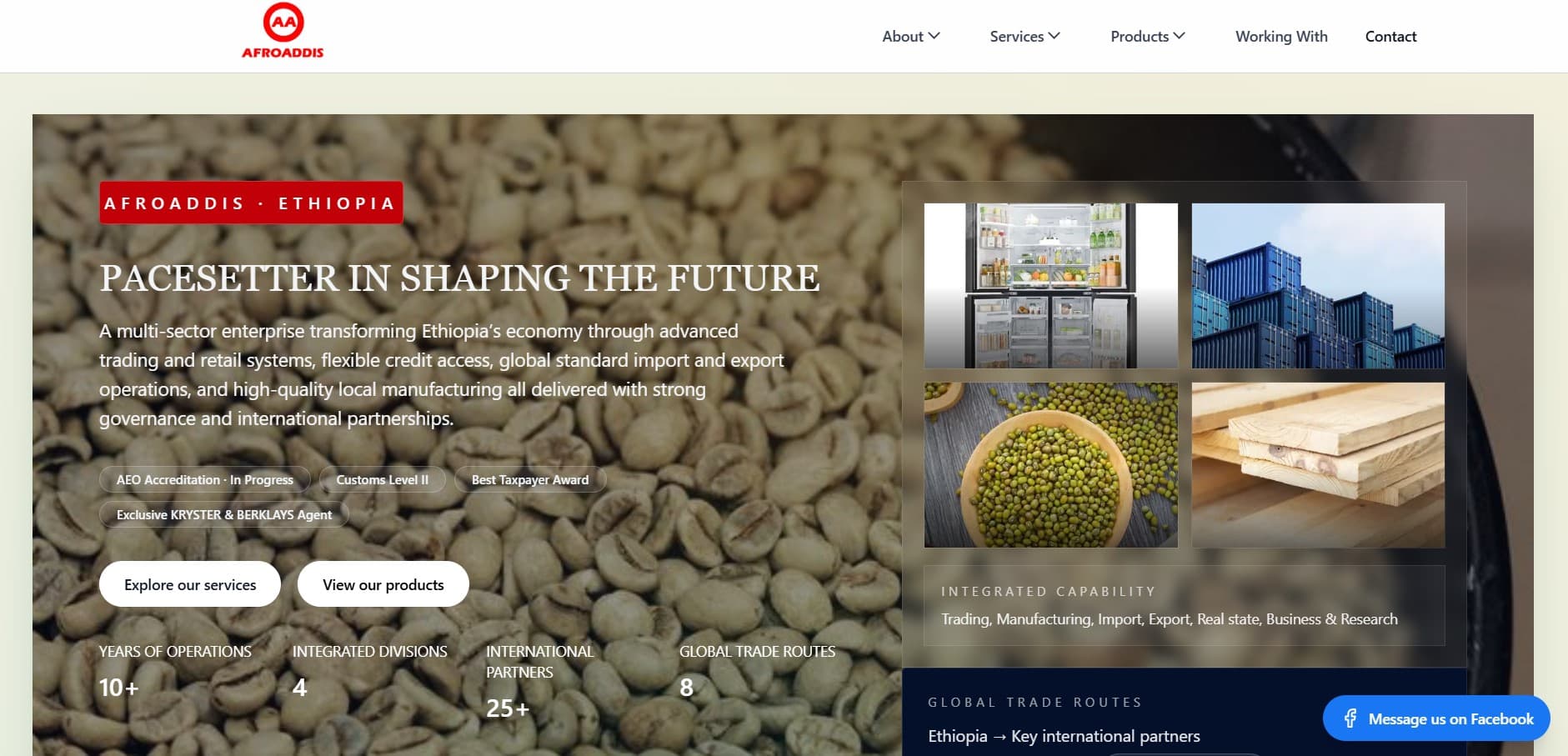 AfroAddis company website